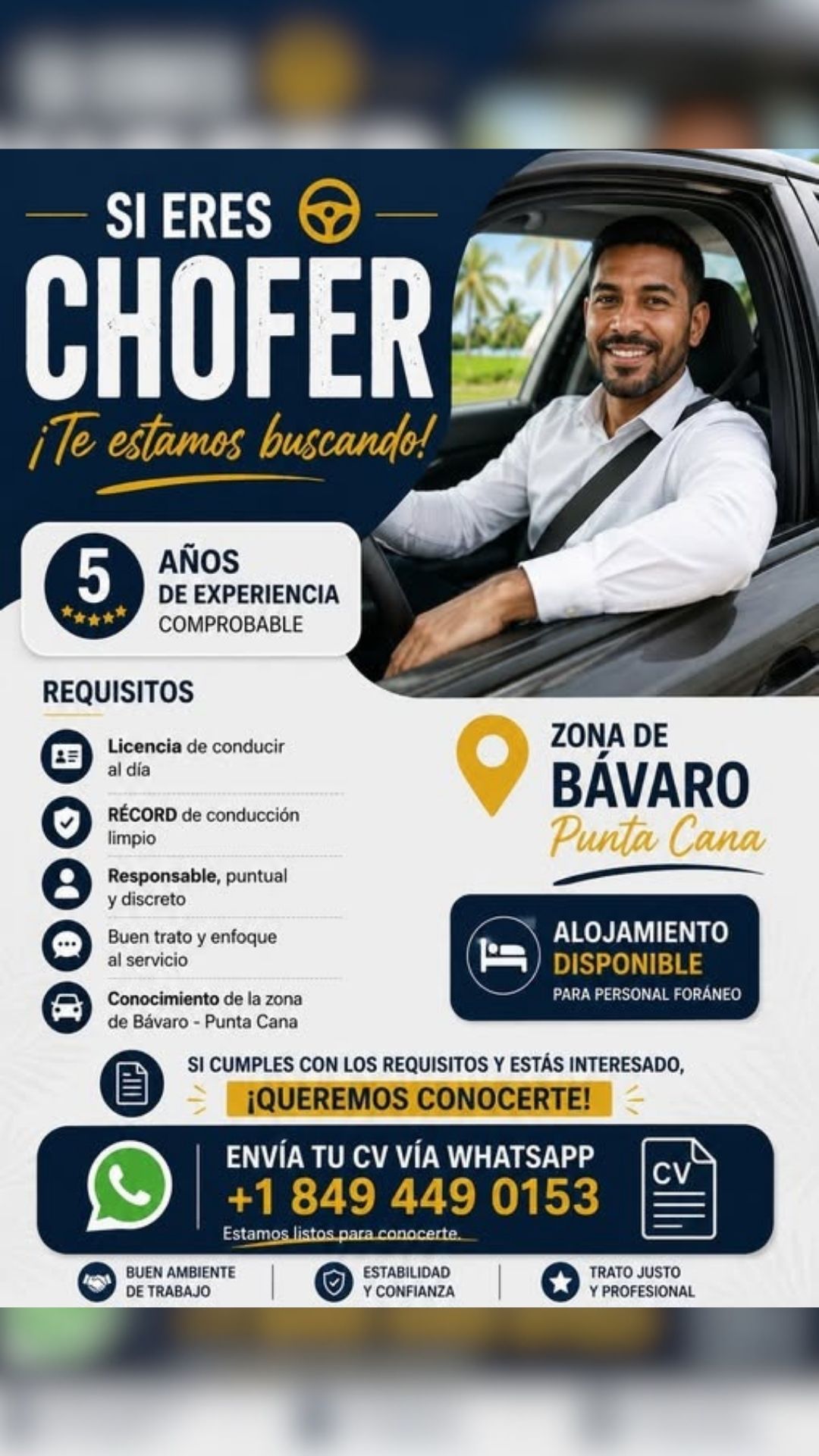 Publicidad 2