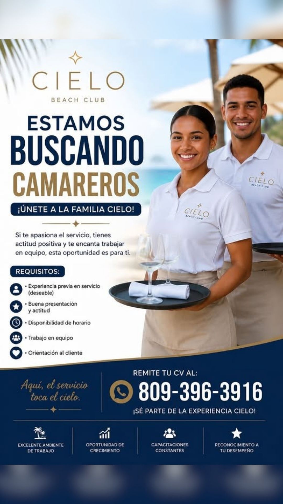 Publicidad 5